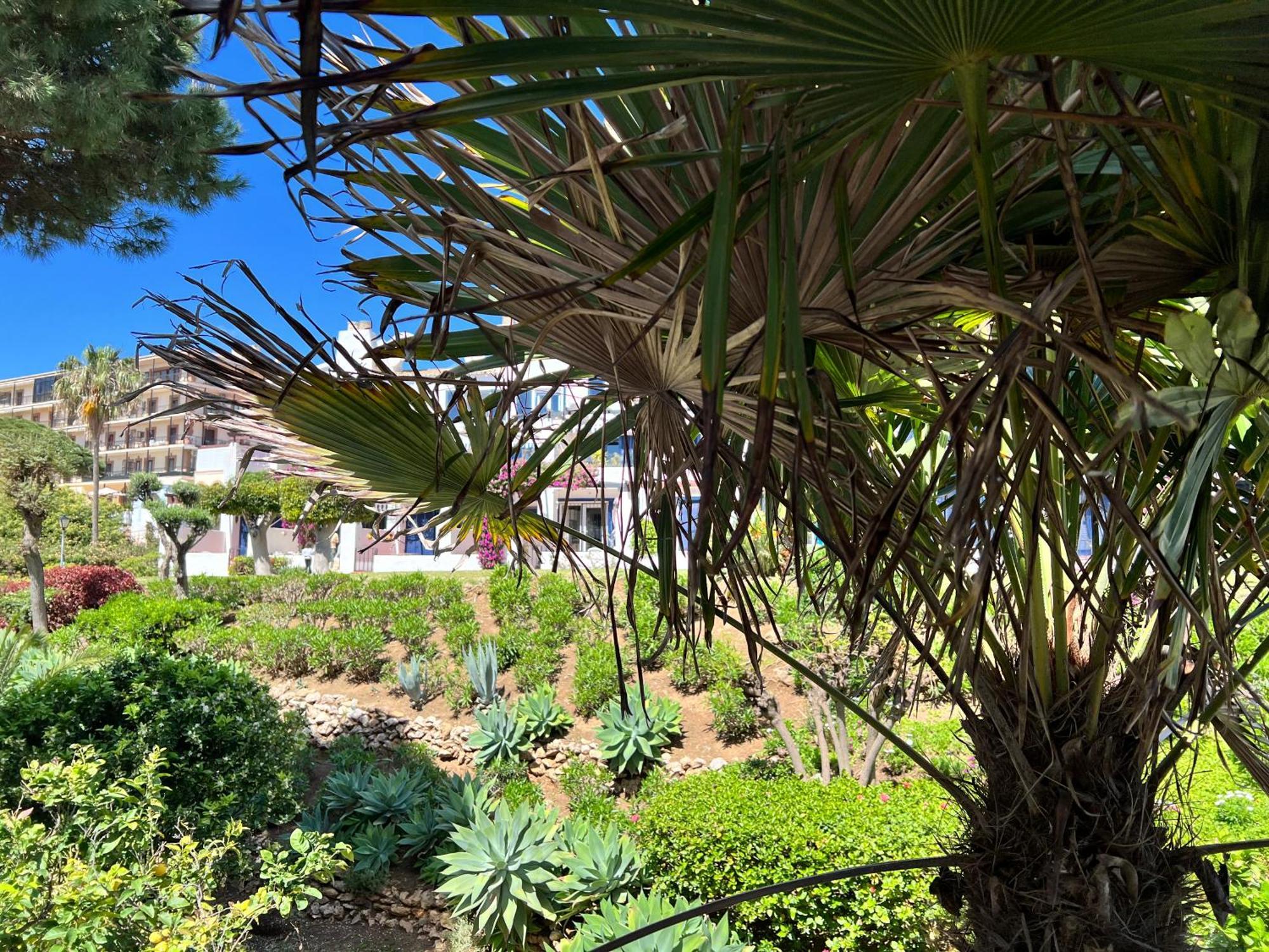 Newly Renovated 2 Bedroom Beachfront House Sitio de Calahonda Екстер'єр фото